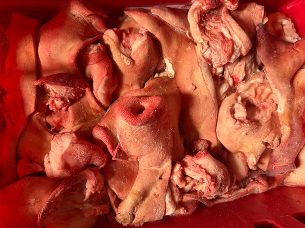 Schweine Kopf Masken