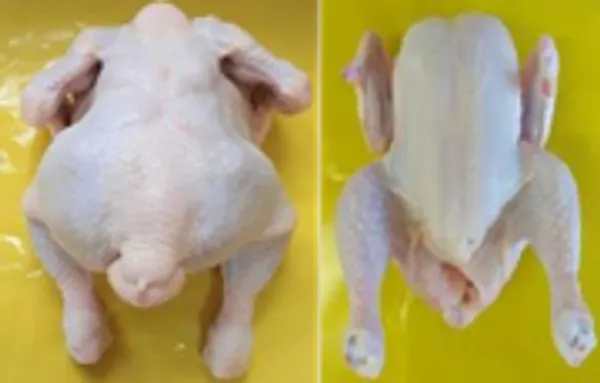 Frozen whole chicken grillers 1700g 2