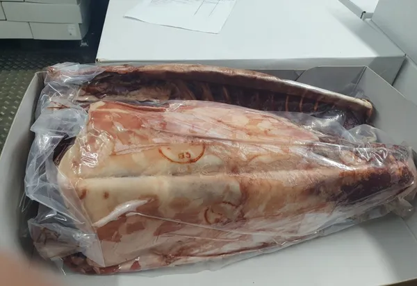 Frozen British wild fallow venison saddle, on the bone 2