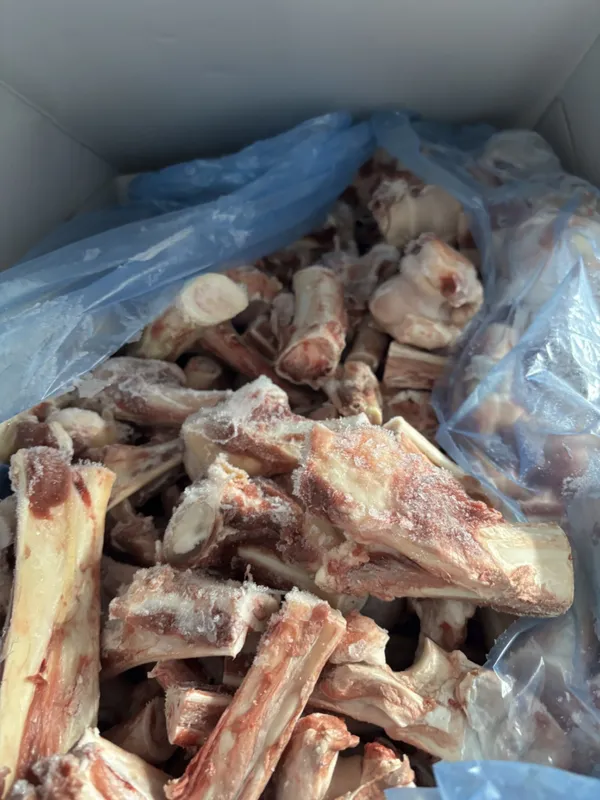 Frozen British wild venison bones 2