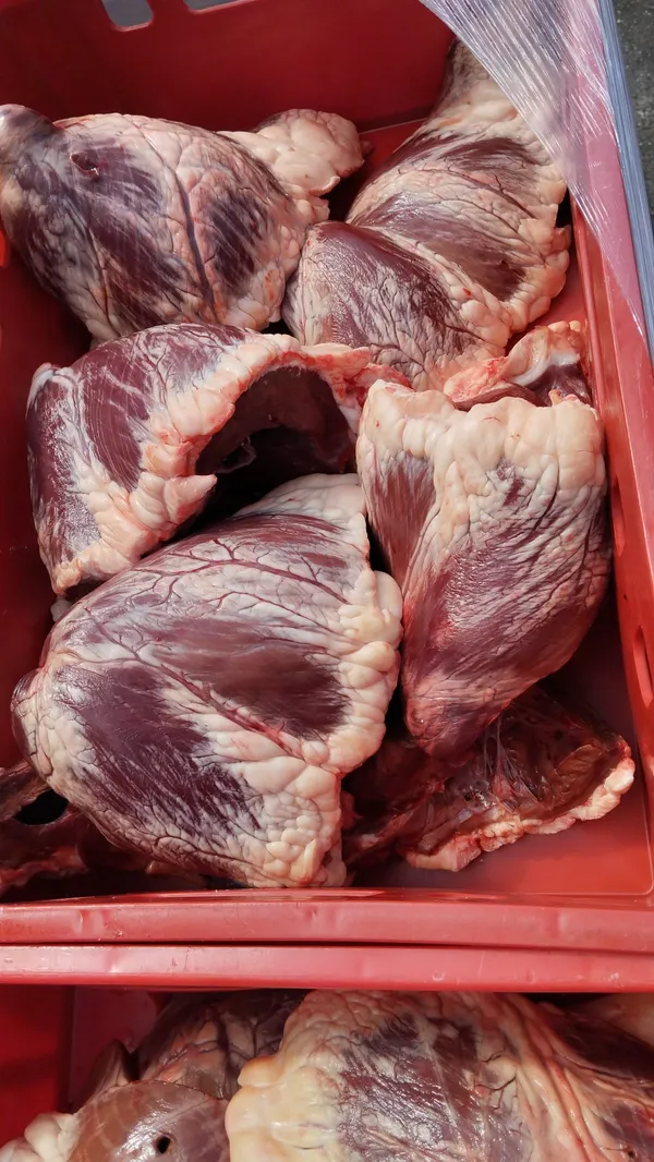 Beef heart 3