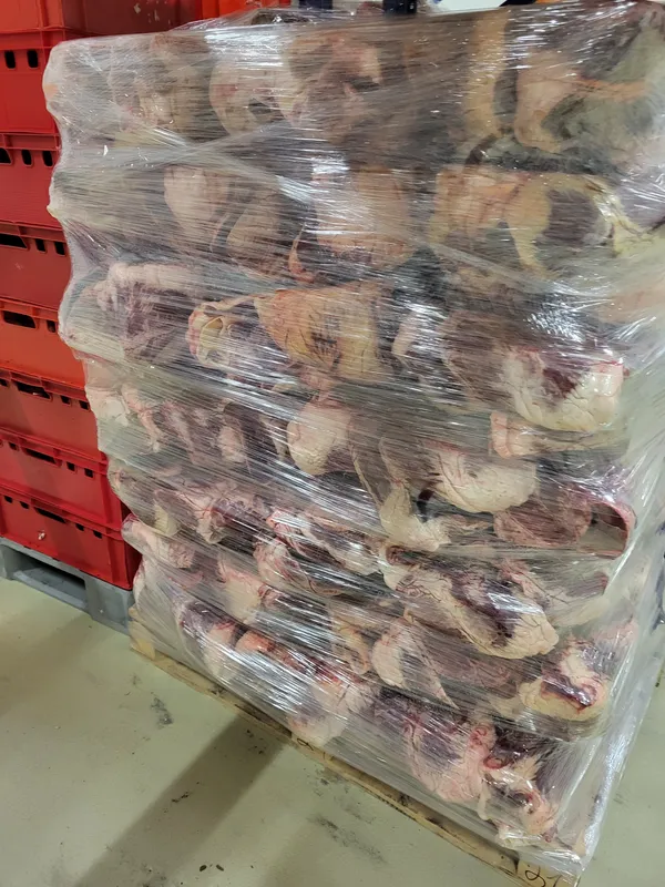 Beef heart 5