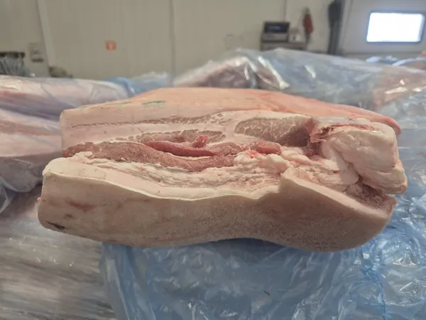 Frozen pork fat belly grade B/C skin on bone in, packaging poliblock, price 1.65 EUR, EXW, origin Poland. 4