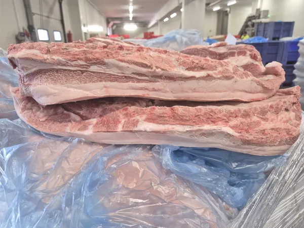 Frozen pork fat belly grade B/C skin on bone in, packaging poliblock, price 1.65 EUR, EXW, origin Poland. 8