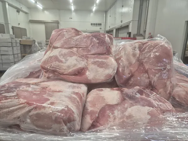 Mrożone pork leg knuckle 4