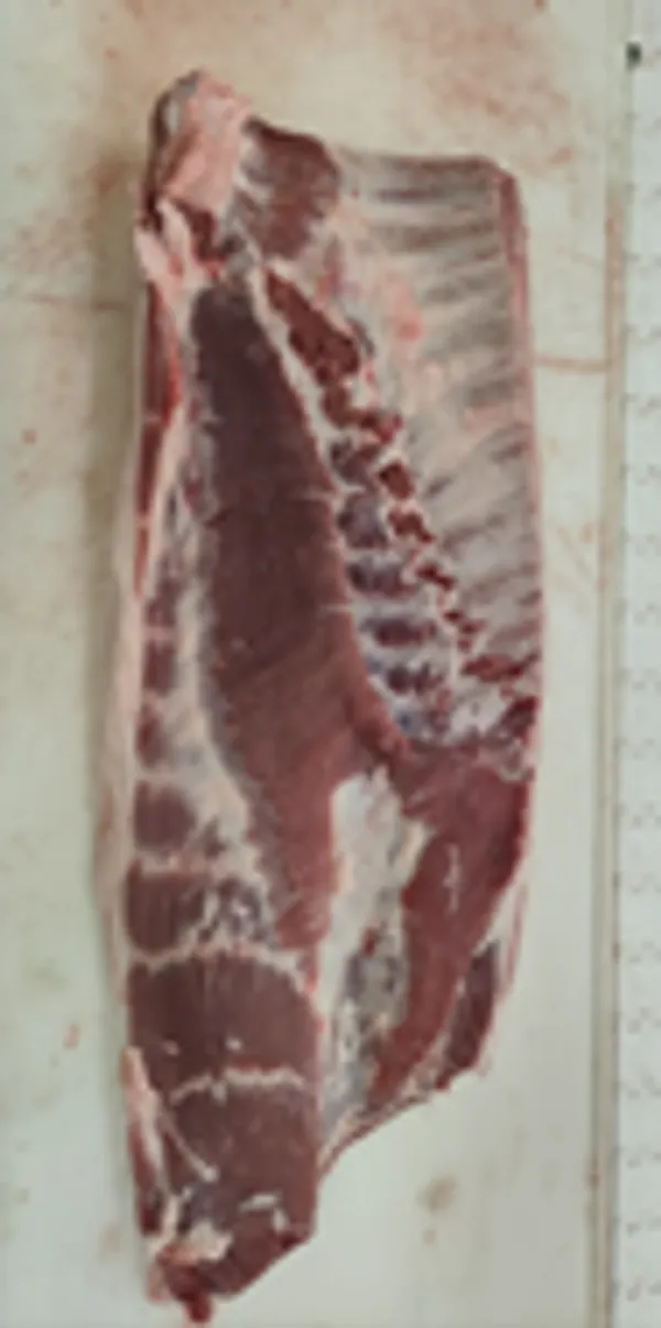 Pork belly, bone-in, wide, flank-on