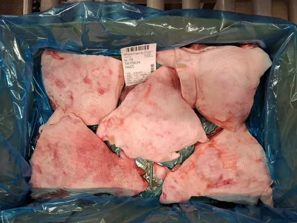 Frozen Pork Jowl 3