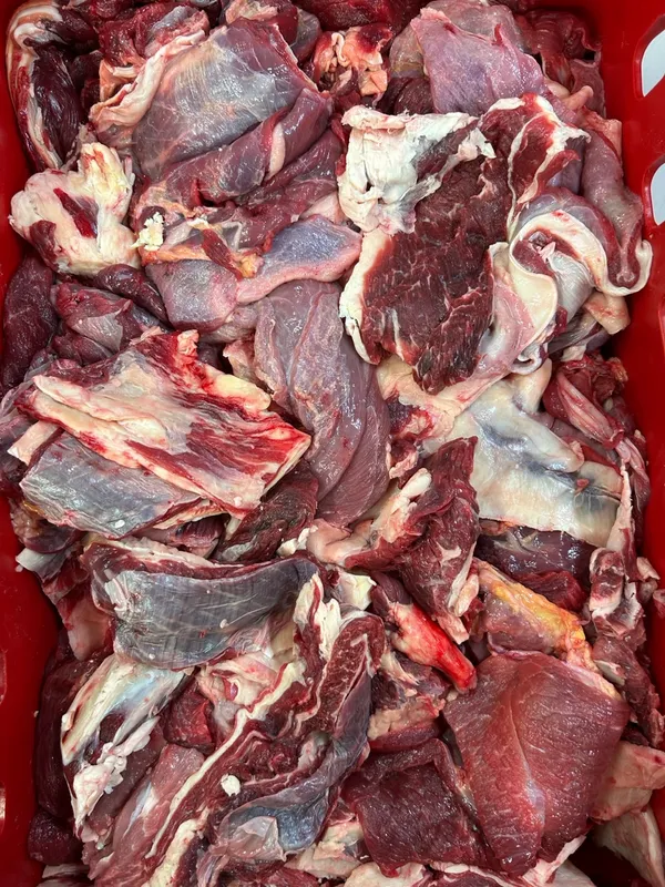 Frozen beef trimmings 80/20 2