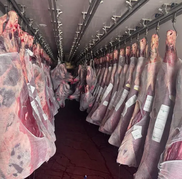 π₯© GO MEAT | GLOBAL MEAT & PROCESSED MEAT SUPPLY