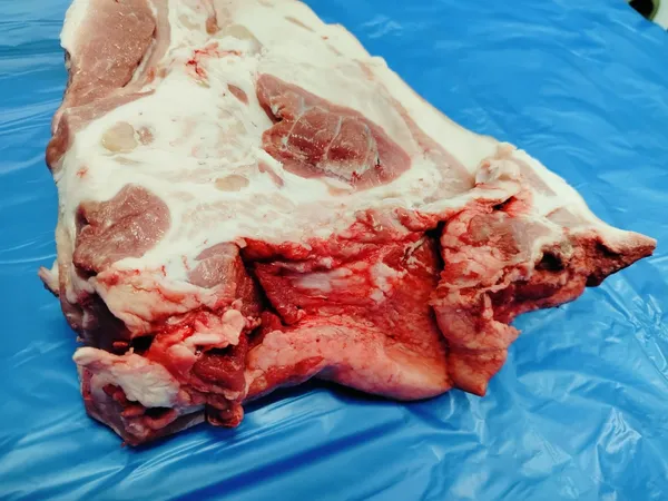 Frozen pork jowl, rind-on 4