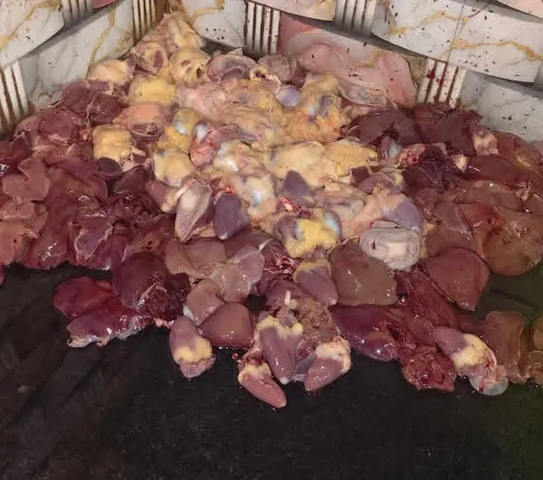 Chicken liver