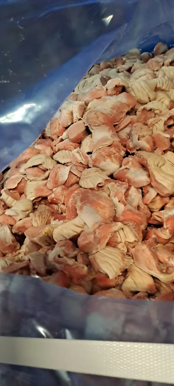 Frozen chicken gizzard 2