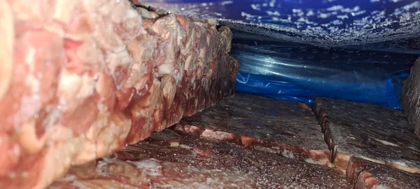 Frozen chicken gizzard 5