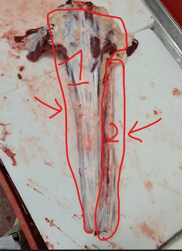 Frozen Beef Tails