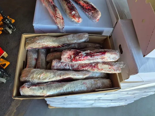 Frozen beef tongue, Poland 4