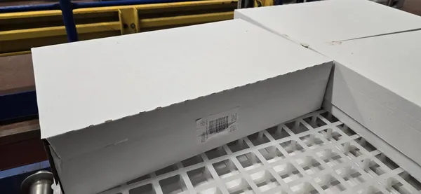 Frozen chicken boneless, rindless leg in, Production from 02.2026, shelf life 24 months from production date. 4