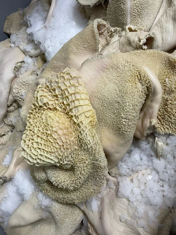 Frozen beef tripe, Germany 2