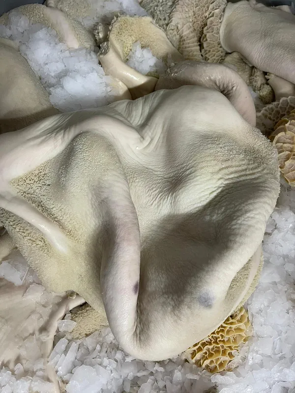 Frozen beef tripe, Germany 3
