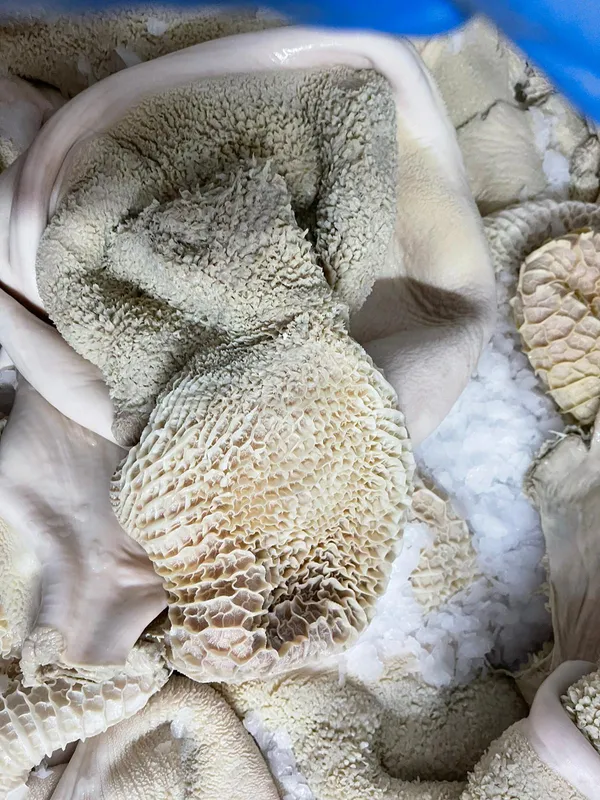 Frozen beef tripe, Germany 4