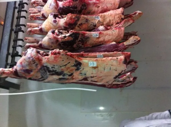 Beef hindquarter 3