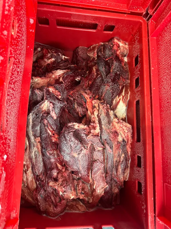 Rinder Abschnitte vom Vorderviertel Keule und Bauch