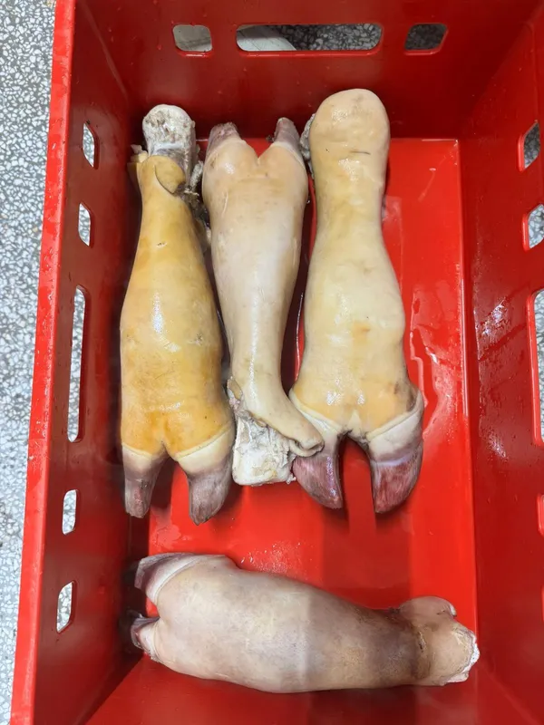 Beef Cow Feet Frozen Burned 6