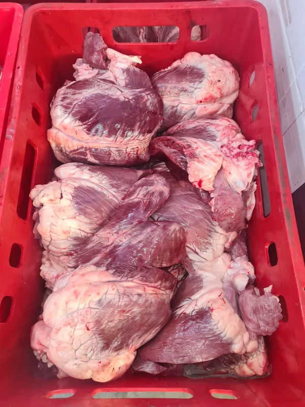 Frozen Beef OX Hearts, 20.000kg , 2,80€ exw, Naked Block, Halal 3