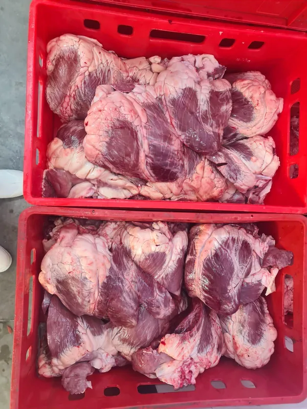 Frozen Beef OX Hearts, 20.000kg , 2,80€ exw, Naked Block, Halal 4