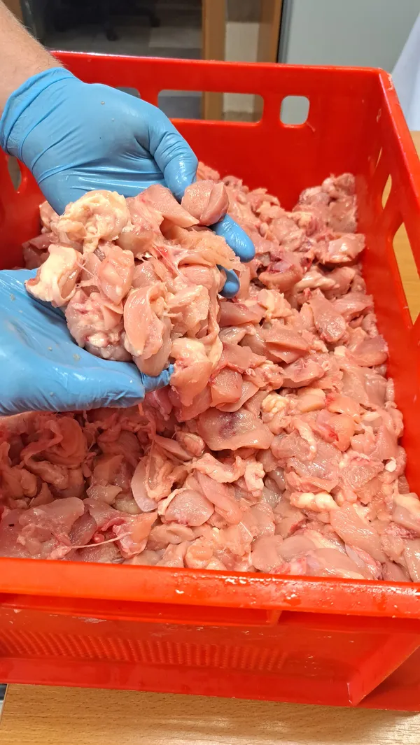 FROZEN CHICKEN MEAT - TRIMMINGS FROM FILLETS 4