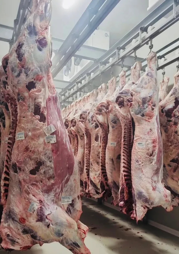 Beef carcass, Romania