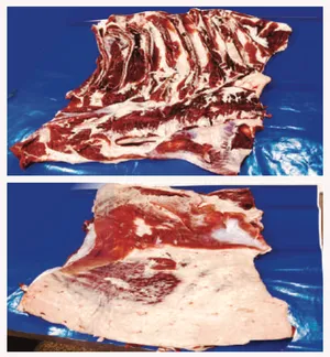 Pecho y falda de res product image