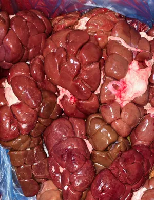 Beef kidneys