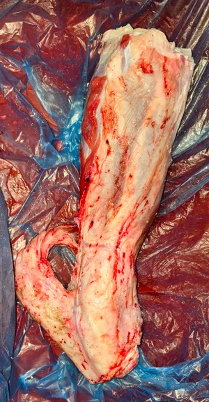 Beef shank (bone-in)