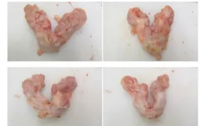 Frozen beef prostate