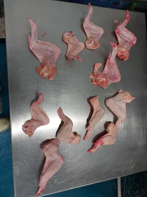 Frozen Chicken 3 joint wings, 10 kg block frozen