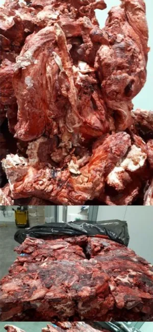 Beef bloody trimming, 80/20, poly, PL origin, cheap, 10 tons