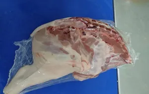 PORK - Suckling pig - Quarters