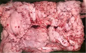 Beef abdominal fat, regular offer in poly block