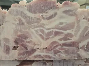 Frozen pork 50/50 trimmings - polliblock