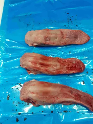 Frozen pork tongues Swiss cut polyblock