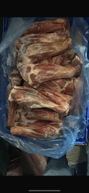 Lamb foreshank Hindshanks