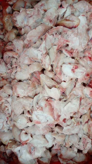 Poultry chicken/heavy hen trimming frozen block 20kg