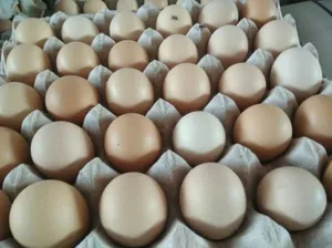 Cage eggs, M and L sizes