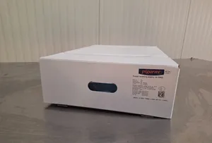 Frozen Pork Piglets 10-12kg