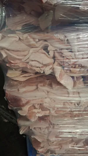 Frozen pork rinds with fat full truck