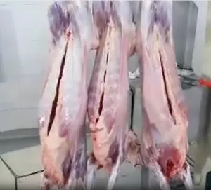 Goat carcass 8-12 kgs