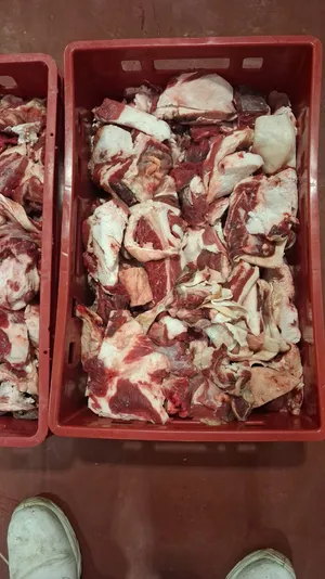 Frozen beef trimming 70/30