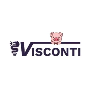 VISCONTI SRL logo