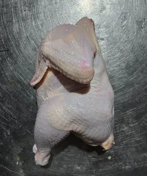 Headless, neckless, eviscerated whole chicken