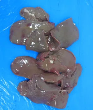 Duck liver